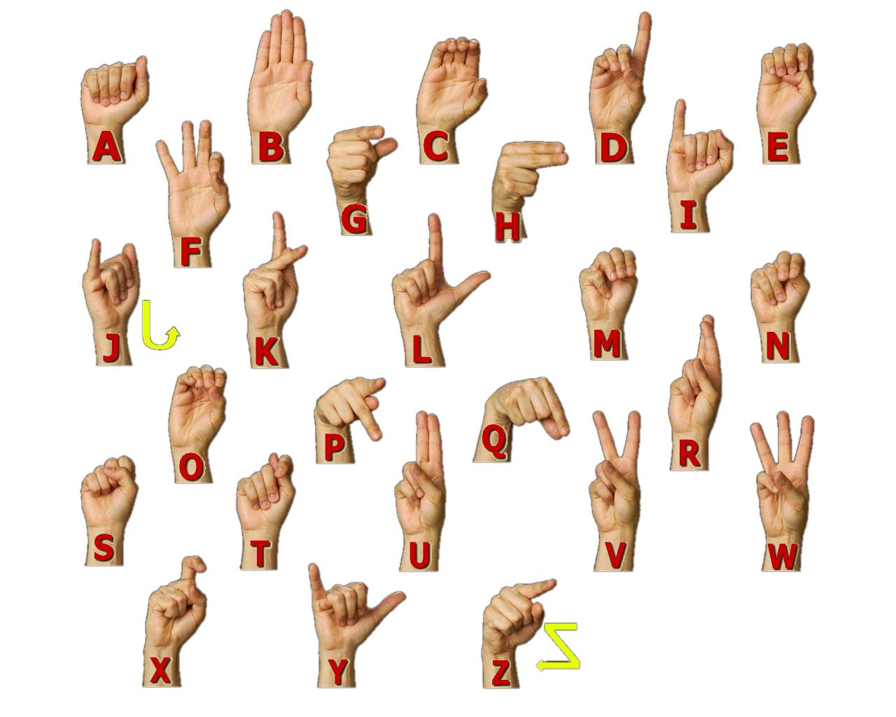 ASL Alphabet